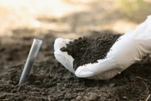 Soil-Testing